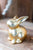 Shiny Gold Bunny