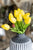 Yellow Tulip Bunch