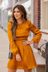 Classic Cinched Long Sleeve Dress