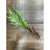 Fern with Exposed Roots - Betsey's Boutique Shop - Artificial Flora