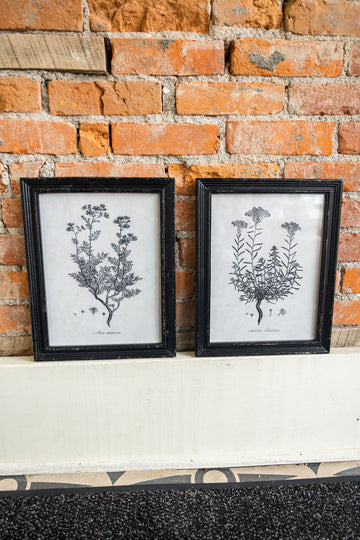 Black Framed Botanical Wall Decor