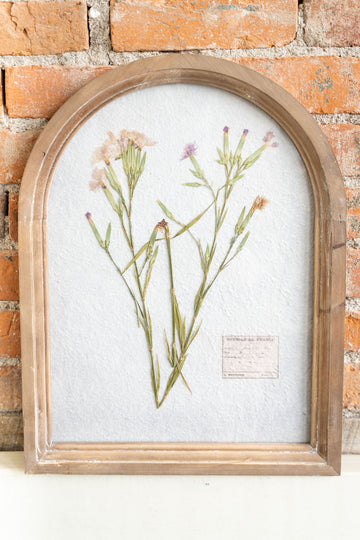 Arched Pressed Botanical Print