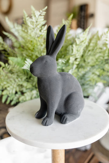 Black Sitting Bunny