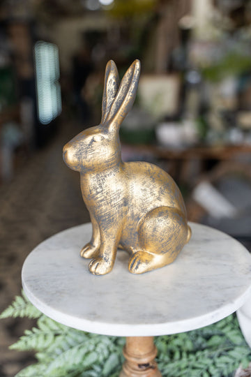 Sitting Gold Bunny