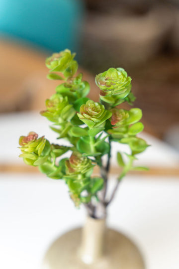 Assorted Succulent Bud Stem - Betsey's Boutique Shop