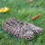 Corky's Penny For Your Thoughts Leopard Loafers