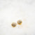 Dazzling Seashell Stud Earrings