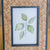 Bamboo Photo Frame