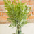 Green Fern Bush Bundle