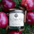 Betsey's Exclusive The Cider Mill Natural Soy Candle - 12oz