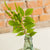 Bold Green Ruscus Spray
