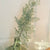 Maiden Hair Fern Spray