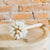Wood Dish Brush