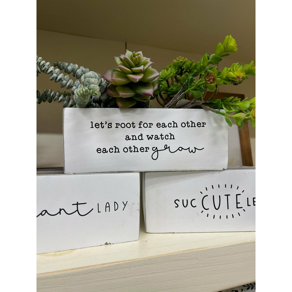 Succulent Planters - Betsey's Boutique Shop