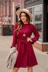 Cinched Long Sleeve Tie Dress
