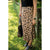 Cheetah Print Skirt - Betsey's Boutique Shop - Skirts