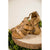 Cara BedStu Sandal - Betsey's Boutique Shop - Shoes