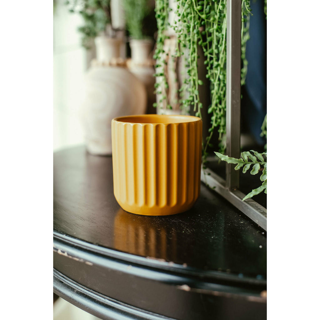 Mustard Ribbed Pot - Betsey's Boutique Shop