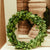 Boxwood Wreath Medium