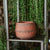 Terracotta Dotted Pot