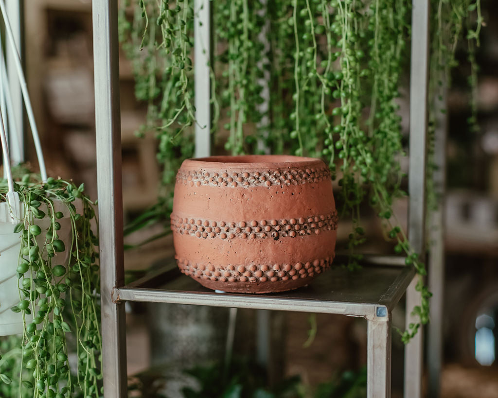 Terracotta Dotted Pot - Betsey's Boutique Shop