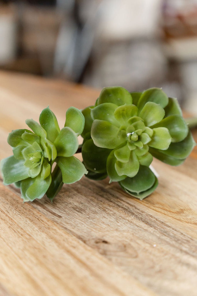 Faux Succulent Stems - Betsey's Boutique Shop -