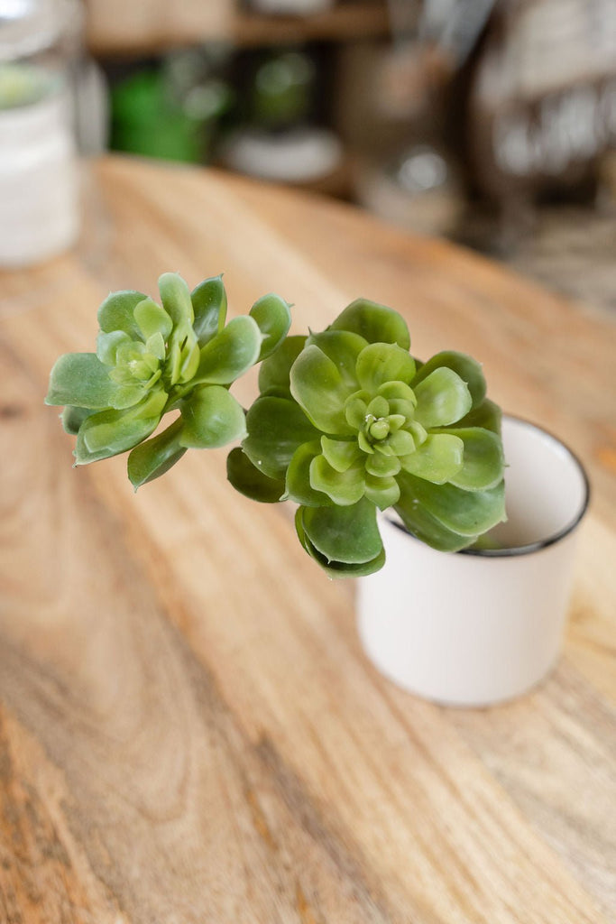 Faux Succulent Stems - Betsey's Boutique Shop -