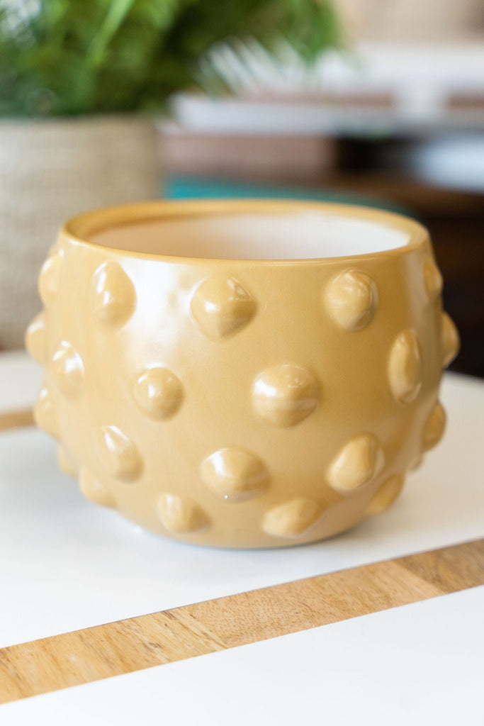 Bubble Terracotta Planter - Betsey's Boutique Shop -