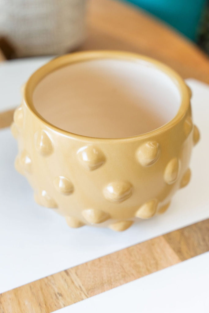 Bubble Terracotta Planter - Betsey's Boutique Shop -