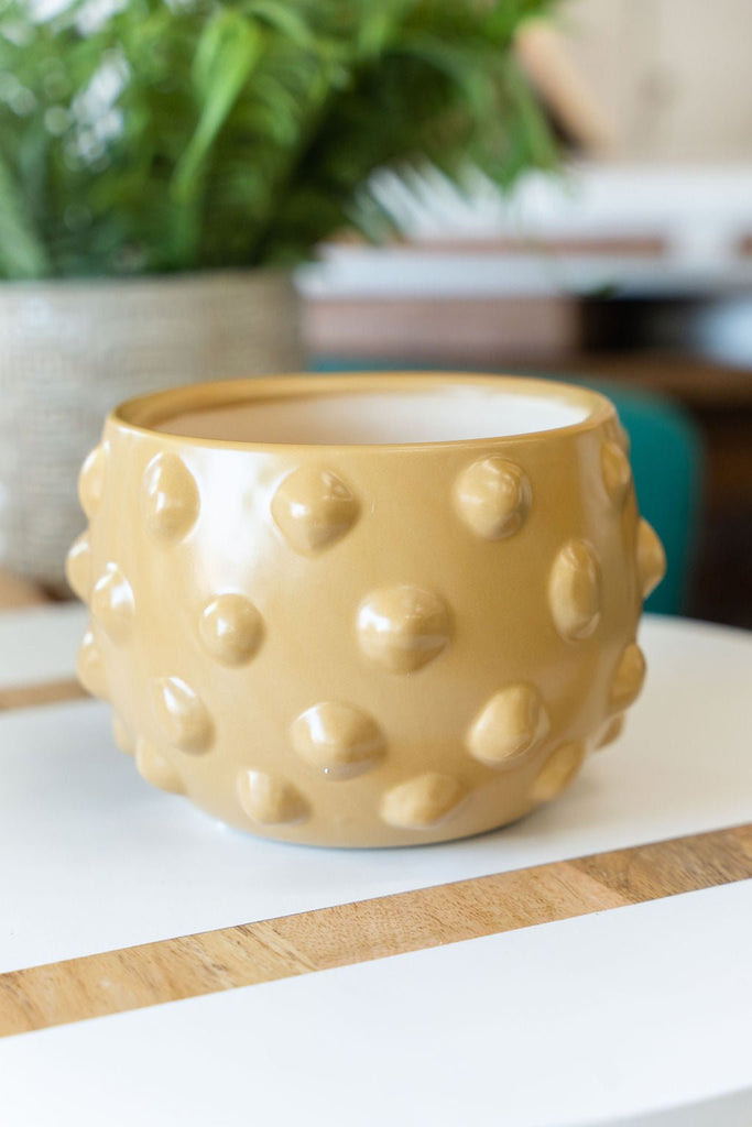 Bubble Terracotta Planter - Betsey's Boutique Shop -