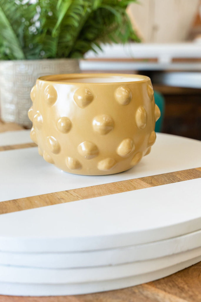 Bubble Terracotta Planter - Betsey's Boutique Shop -