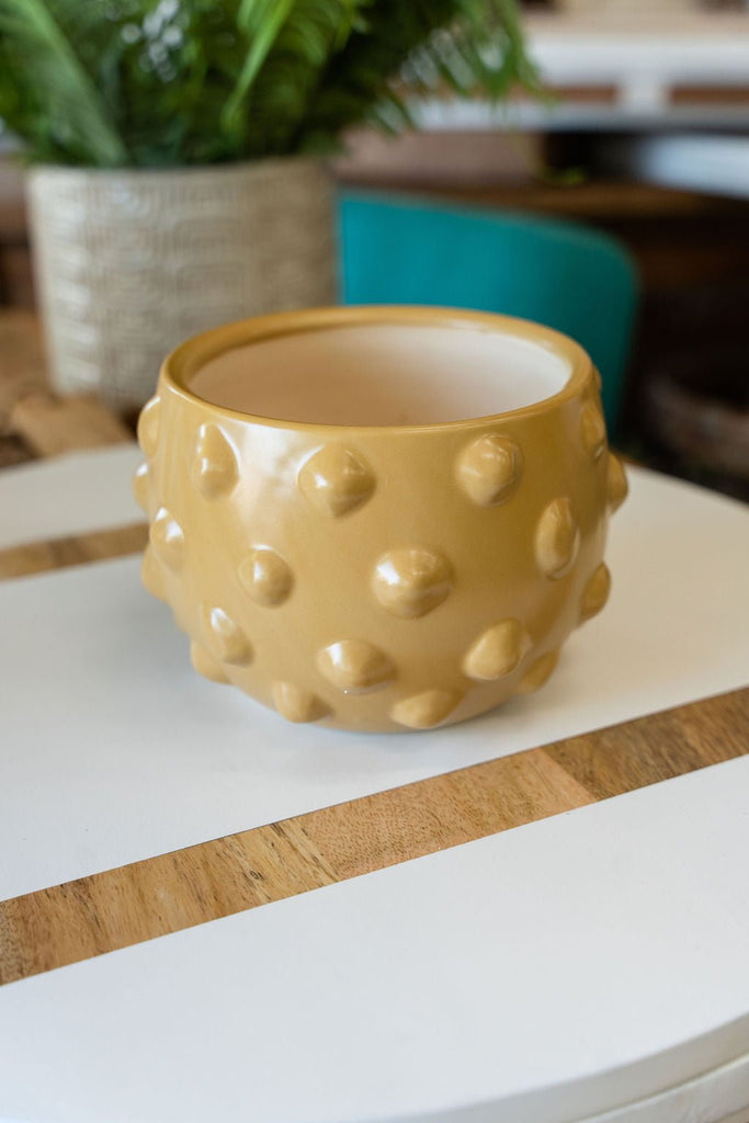 Bubble Terracotta Planter - Betsey's Boutique Shop -