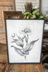 Sketched Floral Wooden Framed Print