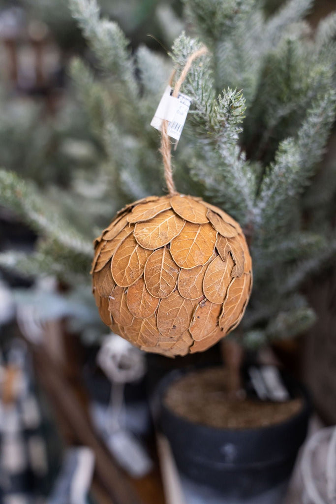 Dried Natural Ornament Ball - Betsey's Boutique Shop -